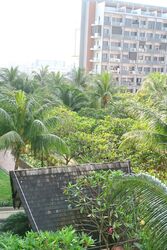 Blk 2C Sri Geylang Serai (Geylang), HDB 4 Rooms #593607791